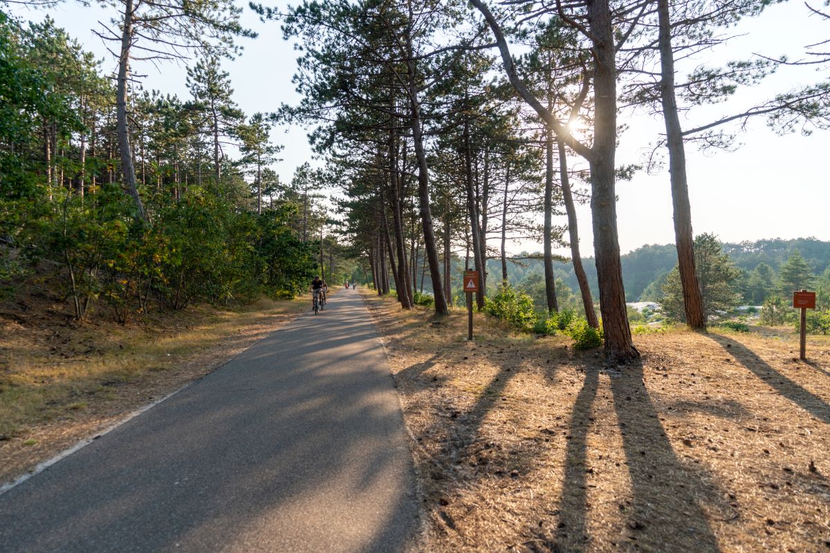 mtb route